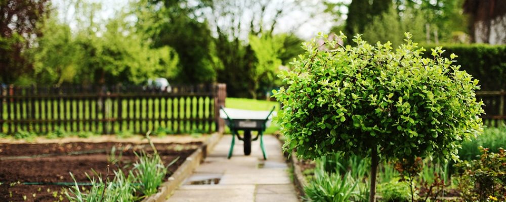 bonus verde e giardini privati 2018